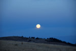 Full Moon setting
