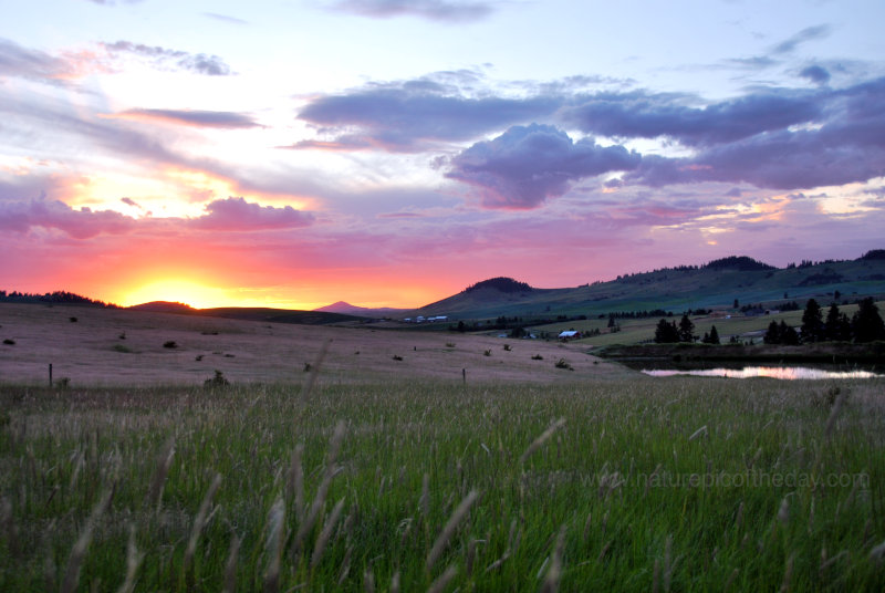 Spring and sunset