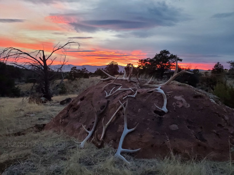Antlers and a New Mexican Sunset