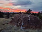 Antlers and a New Mexican Sunset