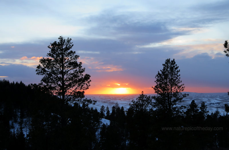 Sunset on the Palouse