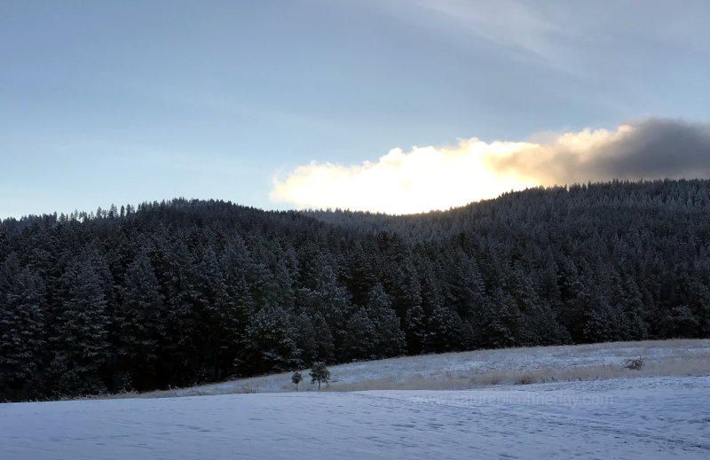 Morning light on snow