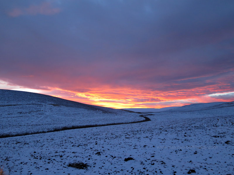 Sunrise, snow, field