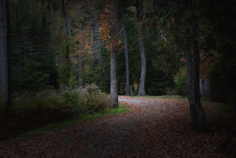 Fall Colors in Maine