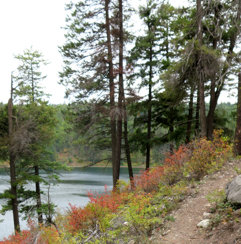 Lake Pend Orielle