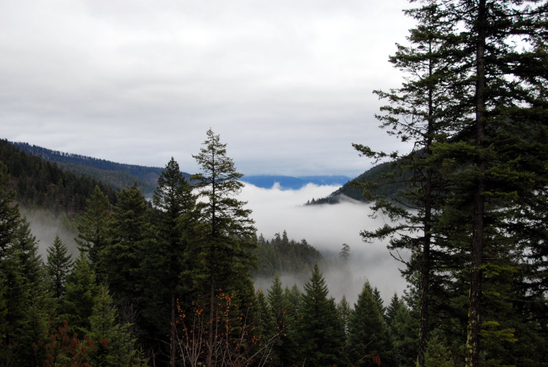 Fog in the Rockies