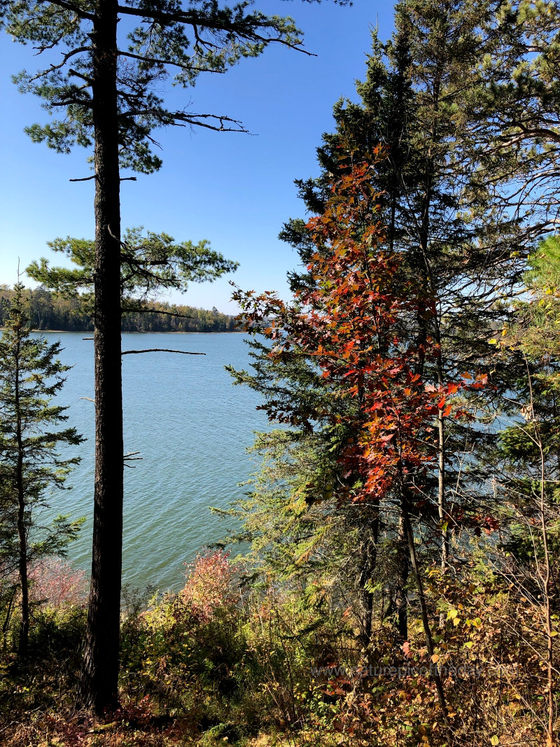 Lake Itasca in Minnesota, headwaters of the Mississippi.