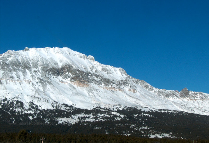 Marias Pass in Montana