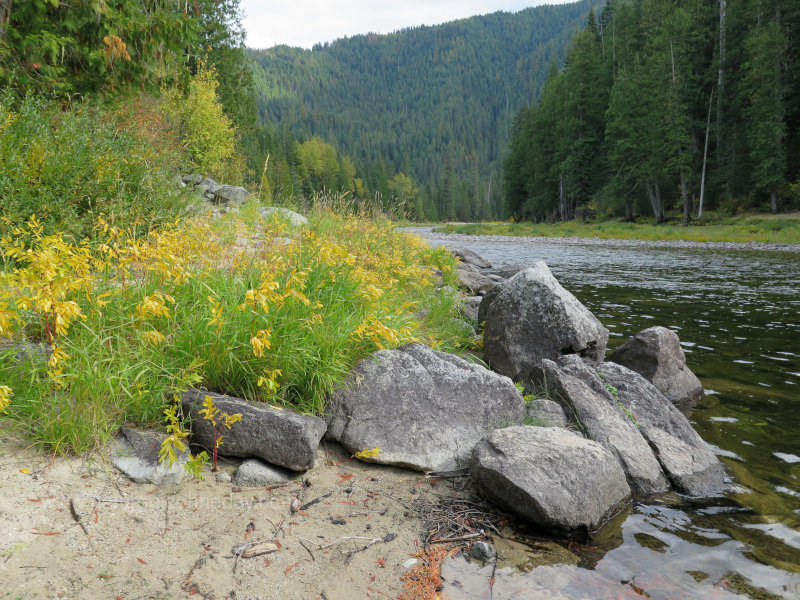 Lochsa River in Idaho