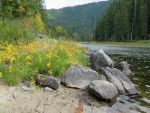 Lochsa River in Idaho