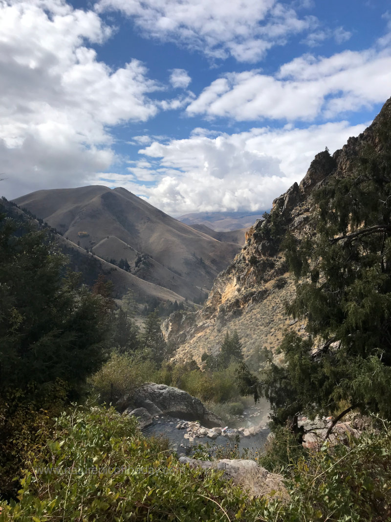 Goldbug Hot Springs