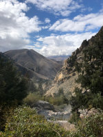 Goldbug Hot Springs