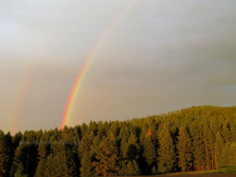 Double Rainbow On The Palouse