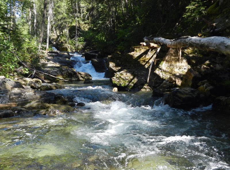 Mountain Stream