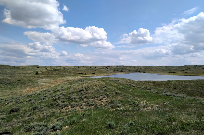 Reservoir in Montana