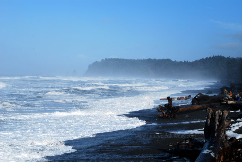 Hello.  Surf in Washington State.