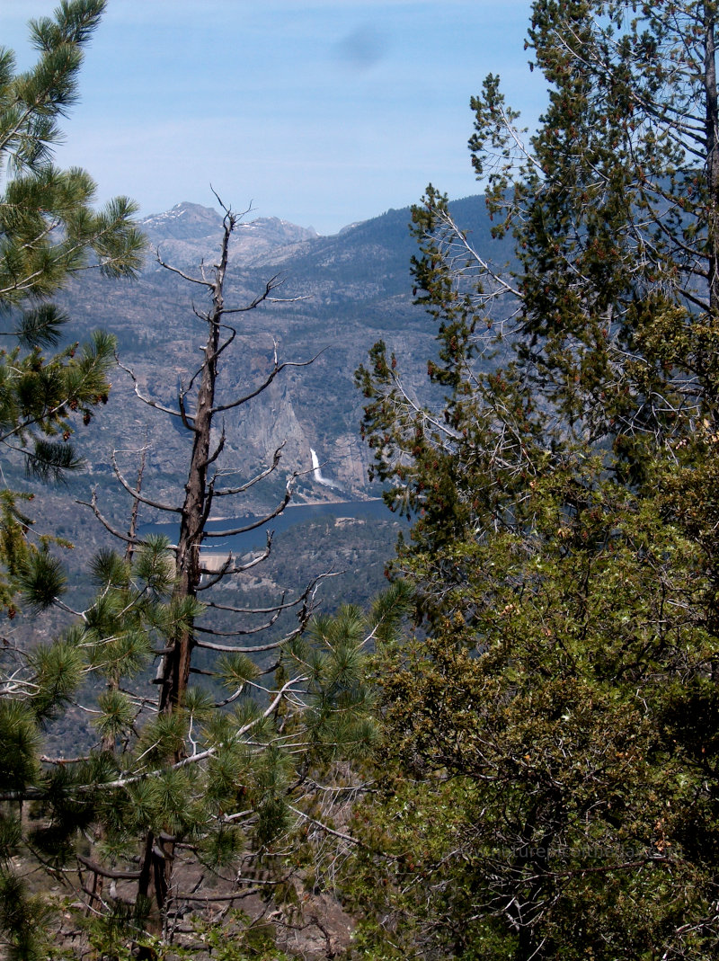 Hetch Hetchy Reservoir