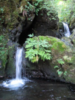 Waterfalls in Washington