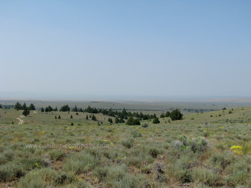 Sage and Obsidian in Oregon