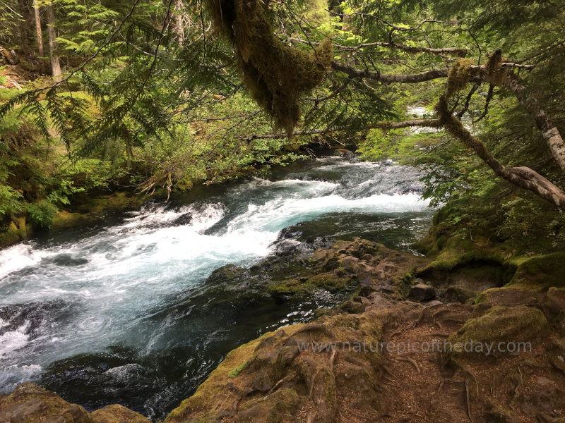 River in Oregon