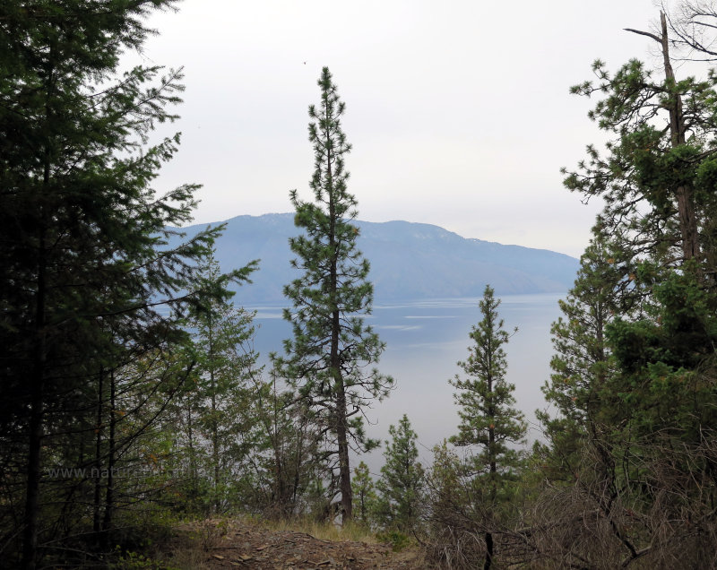 Lake Pend Orielle in Idaho