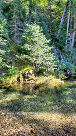 Mountain stream