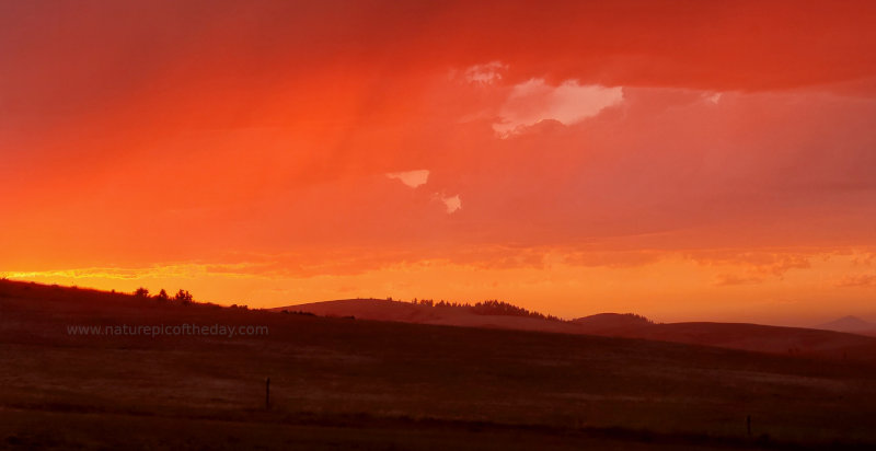 Orange Sunset