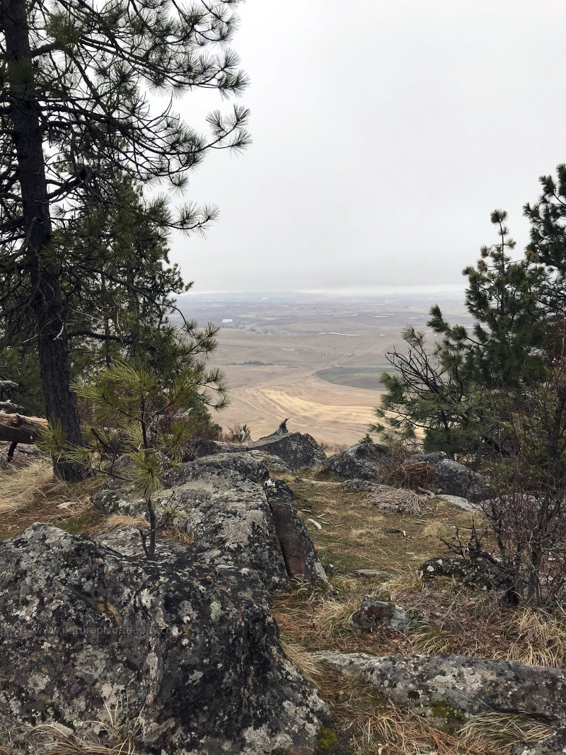 Clouds from Kamiak Butte