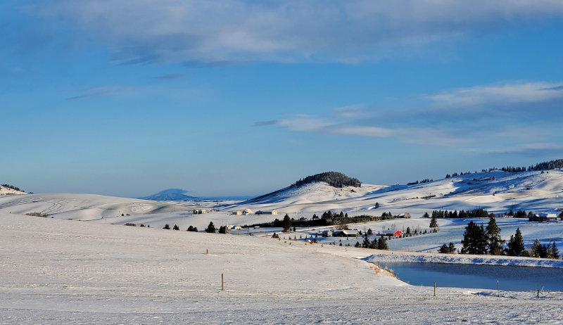 Snow hills Palouse