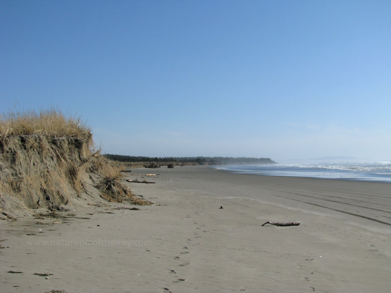 Beach in WA