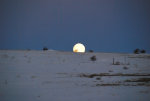 A setting moon on the Palouse in Eastern Washington
