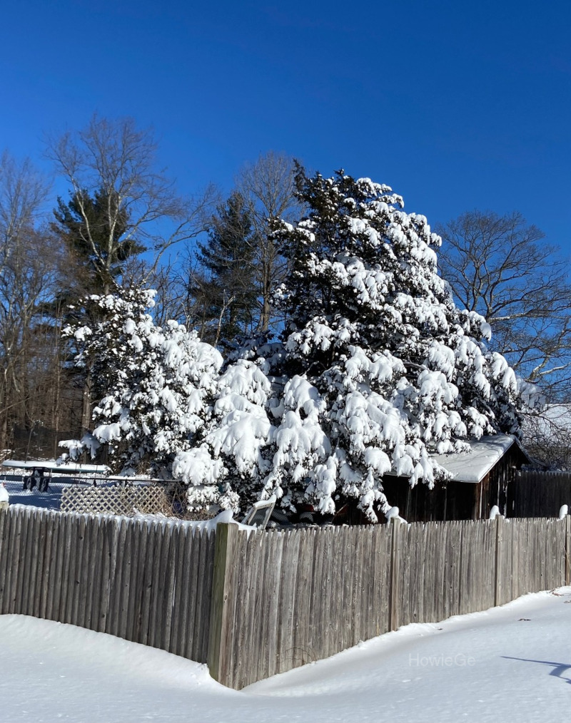 After the Blizzard In Northboro, Massachusetts