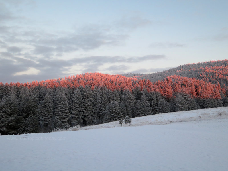 Winter Sunset in Idaho