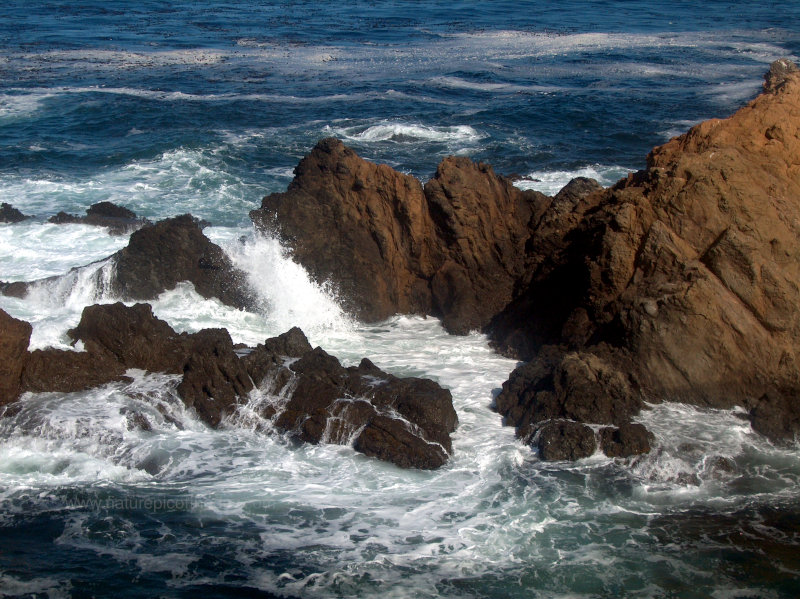 Sea Foam in Northern California