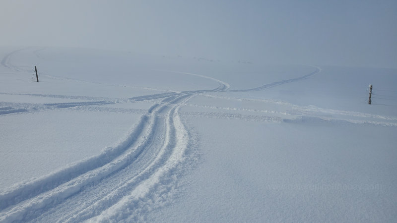 Fog and mist on fresh powder.