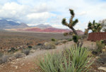 Red Rock Canyon in Nevada