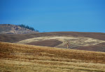 Field Hawk 