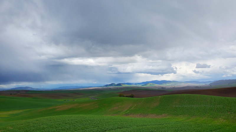 Palouse Hills