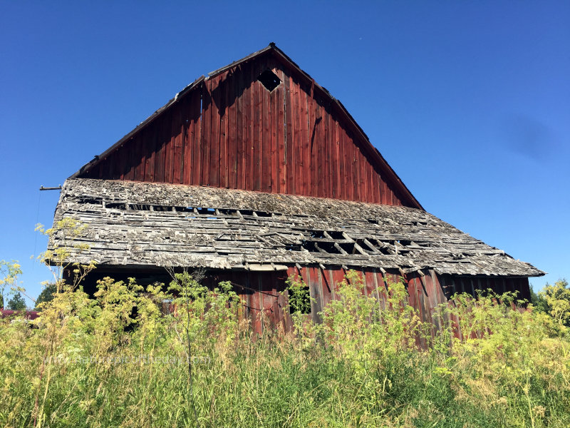 Barn