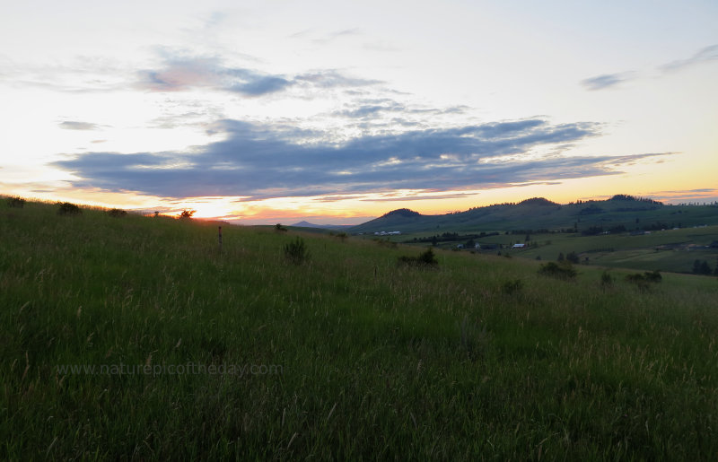 June On The Palouse