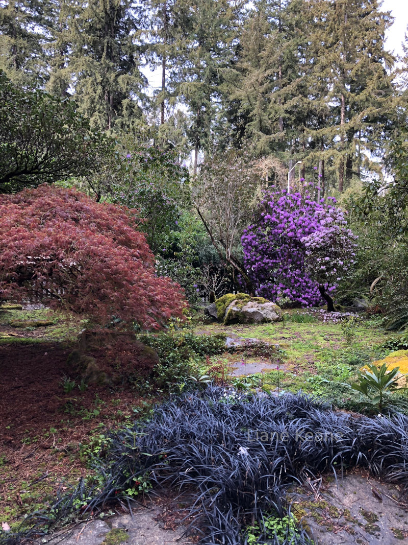 Lakewold Gardens in Lakewood, WA