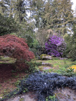 Lakewold Gardens in Lakewood, WA