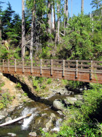 Foot Bridge