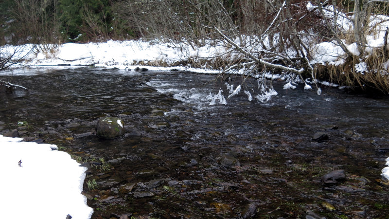 Palouse River