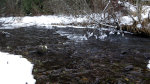 Palouse River