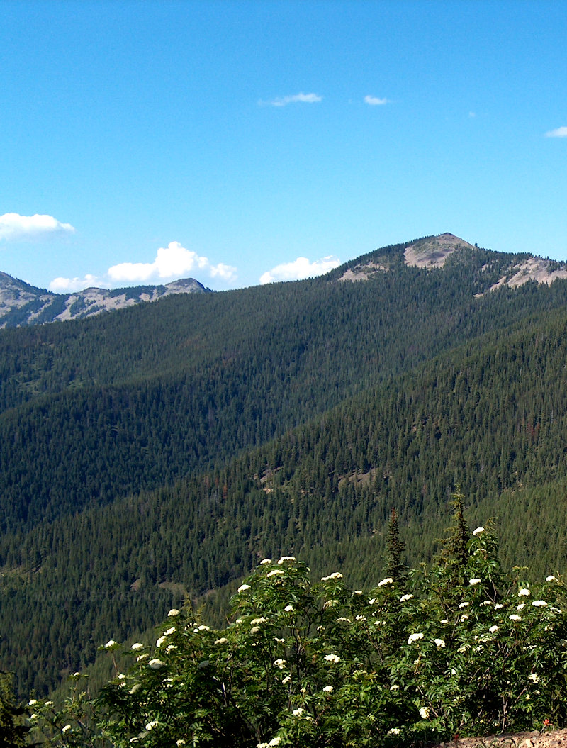 Montana Rocky Mountains