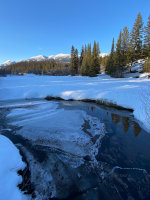 Dog Creek in Montana