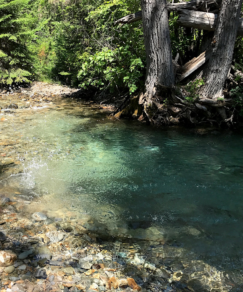 Swimming Hole in a Montana Mountain Stream