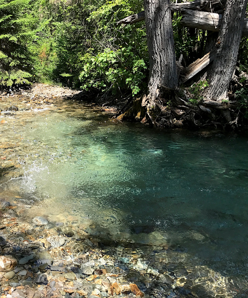 Swimming Hole in a Montana Mountain Stream