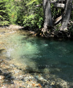 Swimming Hole in a Montana Mountain Stream